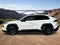 2024 Toyota RAV4 TRD Off Road