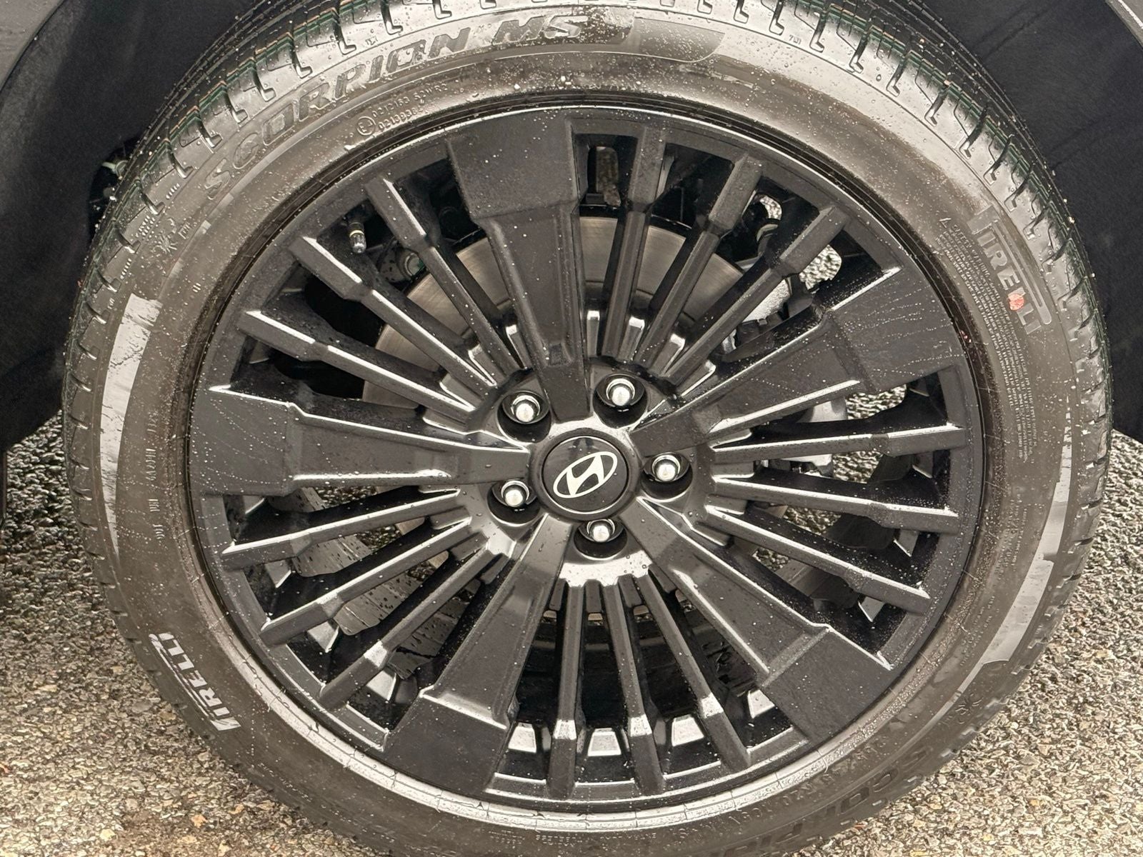 2026 Hyundai Santa Fe Hybrid Calligraphy